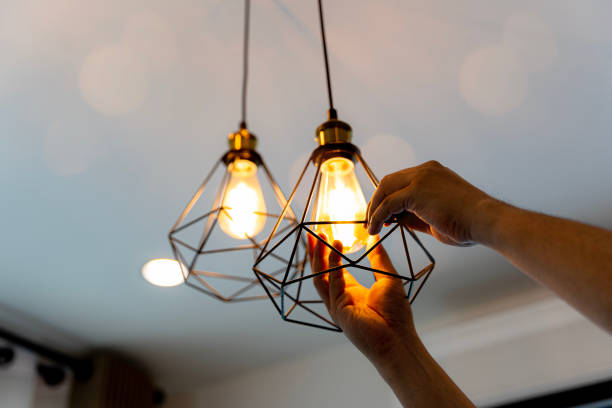 Best Industrial Electrical Services  in Mahnomen, MN