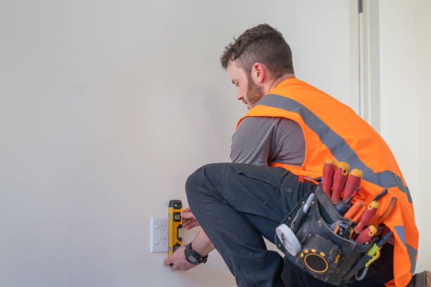 Best Ceiling Fan Installation Electrician  in Mahnomen, MN